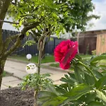 Schoenes Reihenhaus Mit Garten