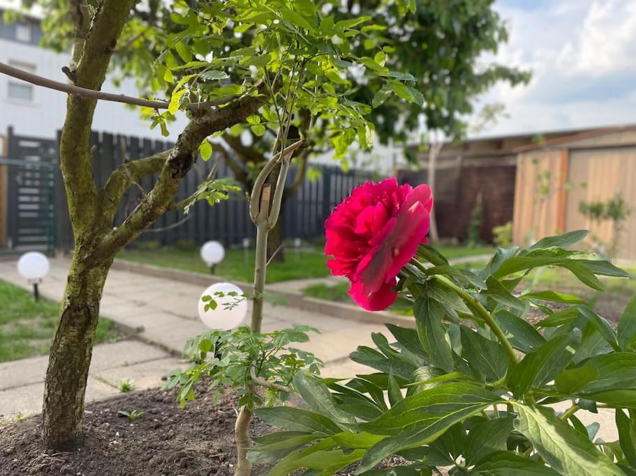 Schoenes Reihenhaus Mit Garten Holiday home *